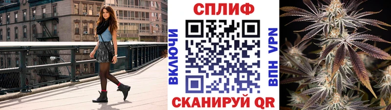 Купить наркотики цена Злынка МАРИХУАНА АМФ Псилоцибиновые грибы COCAIN Меф мяу мяу