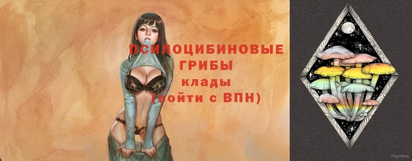 кокаин Дмитриев
