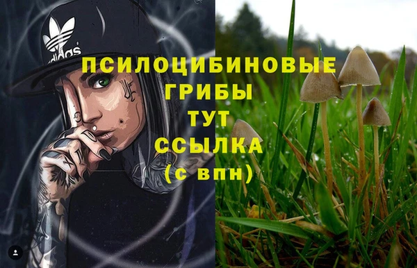 дурь Дмитровск