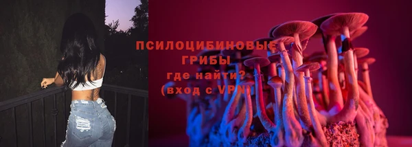 дурь Дмитровск