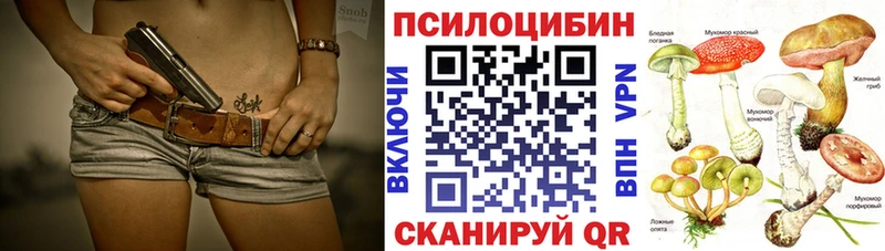 Галлюциногенные грибы Cubensis  Злынка 